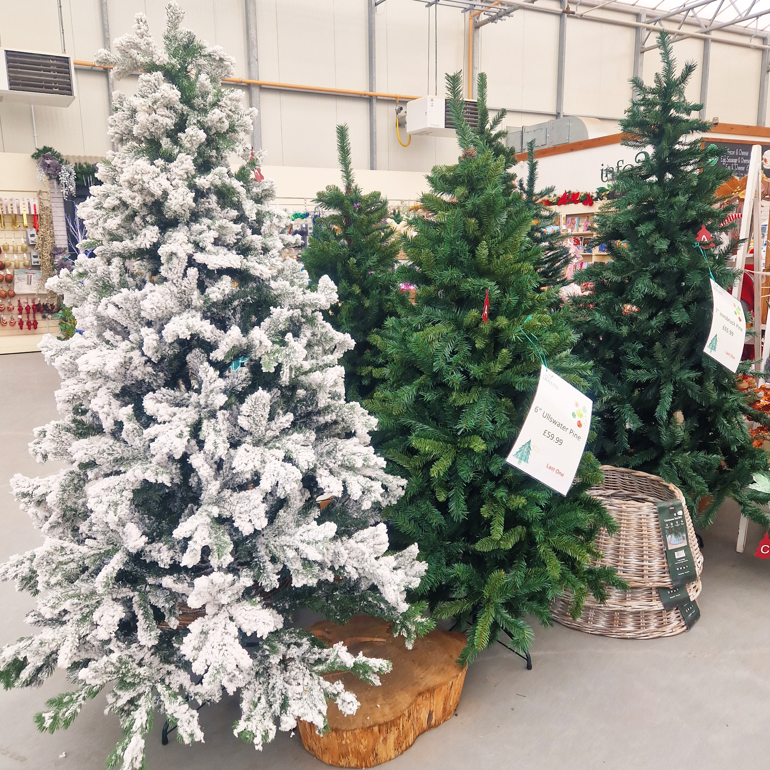 A display of artificial Christmas trees