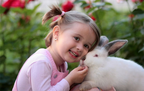 A young girl cuddles a white rabbit