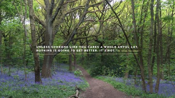 Blue bells in woods with text that reads "UNLESS SOMEONE LIKE YOU CARES A WHOLE AWFUL LOT, NOTHING IS GOING TO GET BETTER. IT'S NOT." DR. SEUSS, THE LORAX