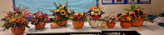 Several pumpkins transformed into decorative planters, displaying colourful flowers and plants created during a workshop