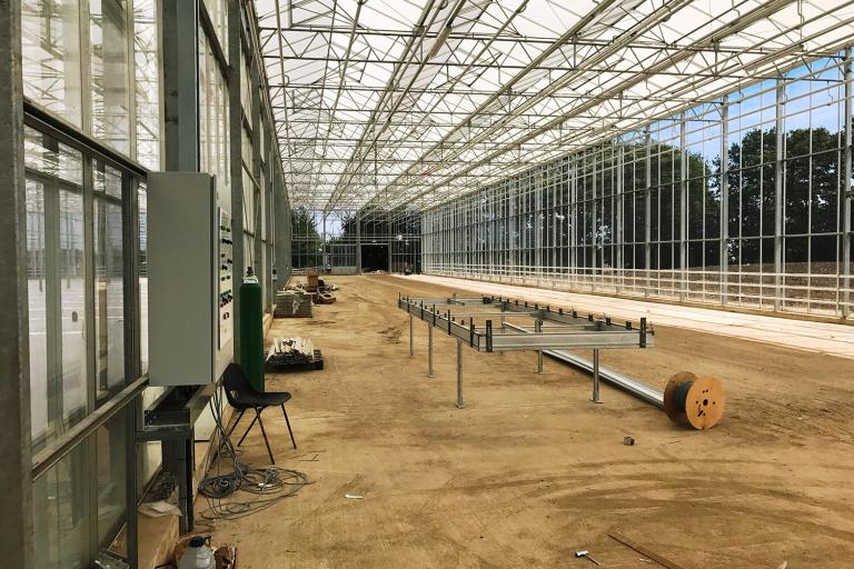 Image shows construction of the Arium glasshouse, a large glass-roofed structure