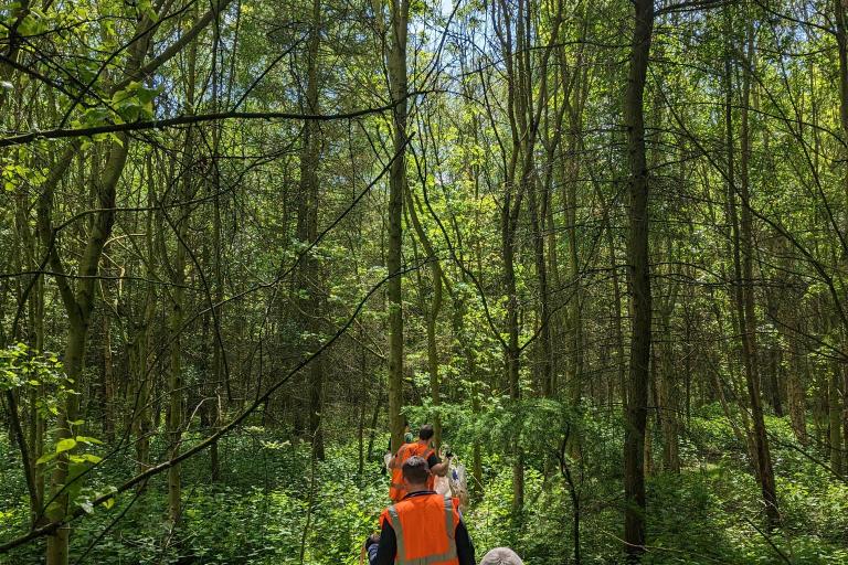 Image shows two volunteers walking along a woodland path