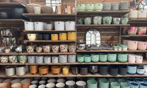 Image shows shelves of ceramic plant pots for sale in the Arium shop