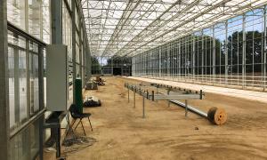 Image shows construction of the Arium glasshouse, a large glass-roofed structure