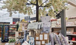 Image shows gifts for sale on a display table in the Arium shop