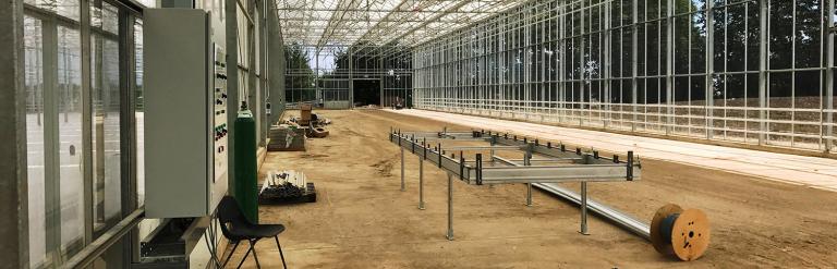Image shows construction of the Arium glasshouse, a large glass-roofed structure